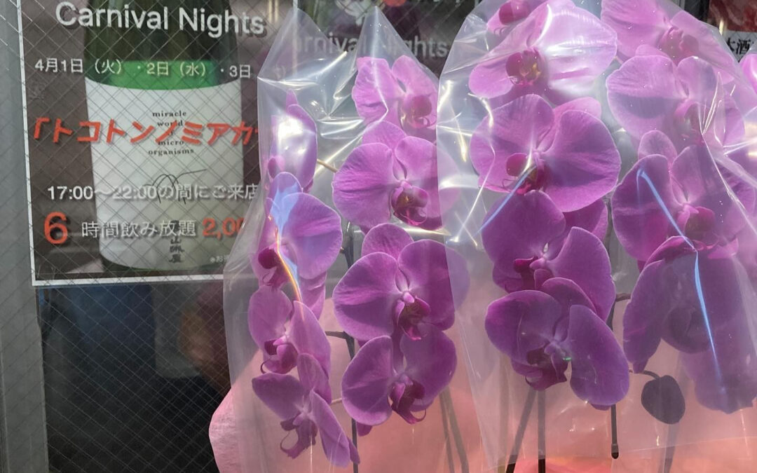 常連一同様